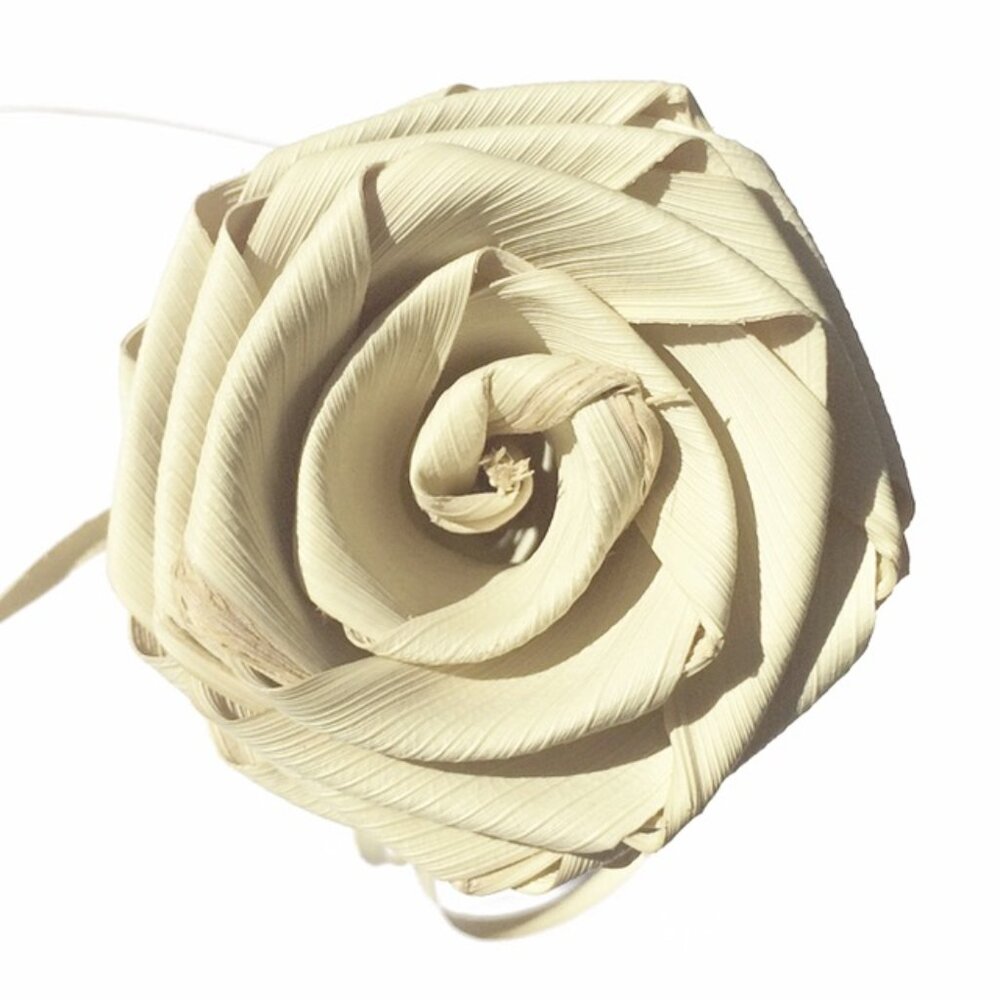 BACKUP LIVE SHOW TREASURE | UNLISTED ITEM